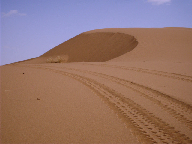 Our in the Dunes