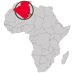 Algeria-Africa-smaller2